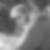Photo de profil de Nicolas Chambon