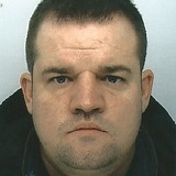 Photo de profil de David Reynaud