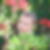 Photo de profil de Marc Brochelard