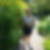 Photo de profil de Liliane Letourmy