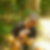 Photo de profil de Brice Elgaire