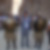 Photo de profil de Hassene Lamri