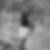 Photo de profil de Jean Pierre Bristow
