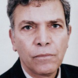 Photo de profil de Saidi Mohamed Mouldi