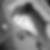 Photo de profil de Marjorie Dallongeville