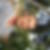 Photo de profil de Guy Obert
