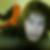 Photo de profil de Loris Pace