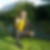 Photo de profil de Charles Guesnon