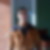 Photo de profil de Alain Chapelle