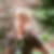 Photo de profil de Evelyne Magnat