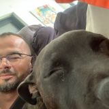 Photo de profil de Édouard Ferreira
