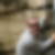 Photo de profil de Laurent Rimet