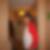 Photo de profil de Patou Barbin