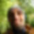 Photo de profil de Thomas Fillault