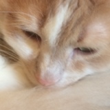 Photo de profil de Nadia Bouras