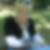 Photo de profil de Murielle Minche