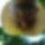 Photo de profil de Vincent Belorgey