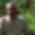 Photo de profil de José Lionel