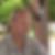 Photo de profil de Patrick Gouaillardet