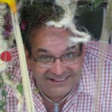 Photo de profil de Jean Louis Thomin