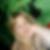 Photo de profil de Amandine Viez