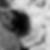 Photo de profil de Marthe Josnin