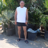 Photo de profil de Bernard Delrue
