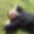 Photo de profil de Claude Noblot