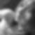 Photo de profil de Lolita Malyjurek