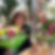 Photo de profil de Rosy Albertini
