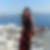 Photo de profil de Elodie Sans