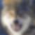 Photo de profil de Loulou Lou