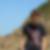Photo de profil de Louis Gontier