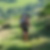 Photo de profil de Lydie Darnet