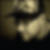 Photo de profil de Samuel Lorenzo