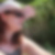 Photo de profil de Rachel Fornage