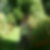 Photo de profil de Marie Josee Lang