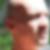 Photo de profil de Marc Zephinie