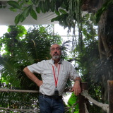 Photo de profil de Thierry Cros