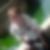 Photo de profil de Marine Courteille