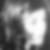 Photo de profil de Elisabeth Chareton