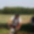 Photo de profil de Thomas Golly