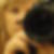Photo de profil de Ondine Martin
