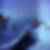 Photo de profil de David Antin