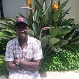 Photo de profil de Jean Parfait Adou