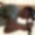 Photo de profil de Franck Blanchard
