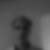 Photo de profil de Dominique Pradelle