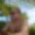 Photo de profil de Michel Alquier