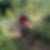 Photo de profil de Norbert Million