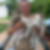 Photo de profil de Joel Lelot